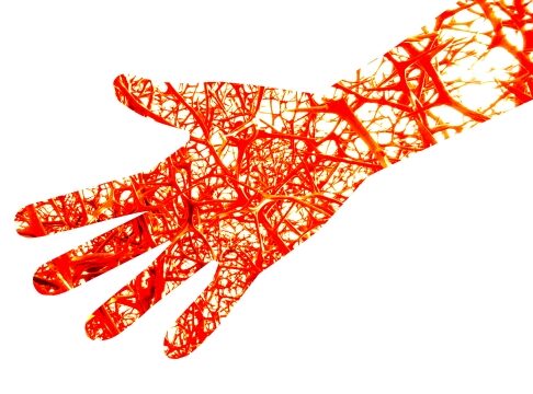 血流のイメージ