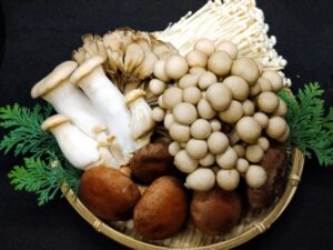 秋の味覚キノコ