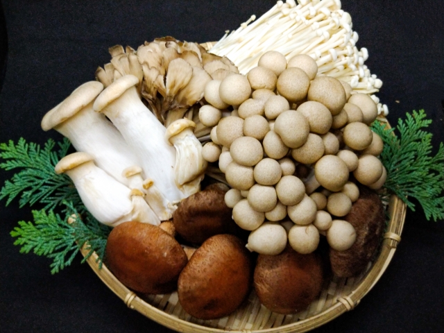秋の味覚キノコ